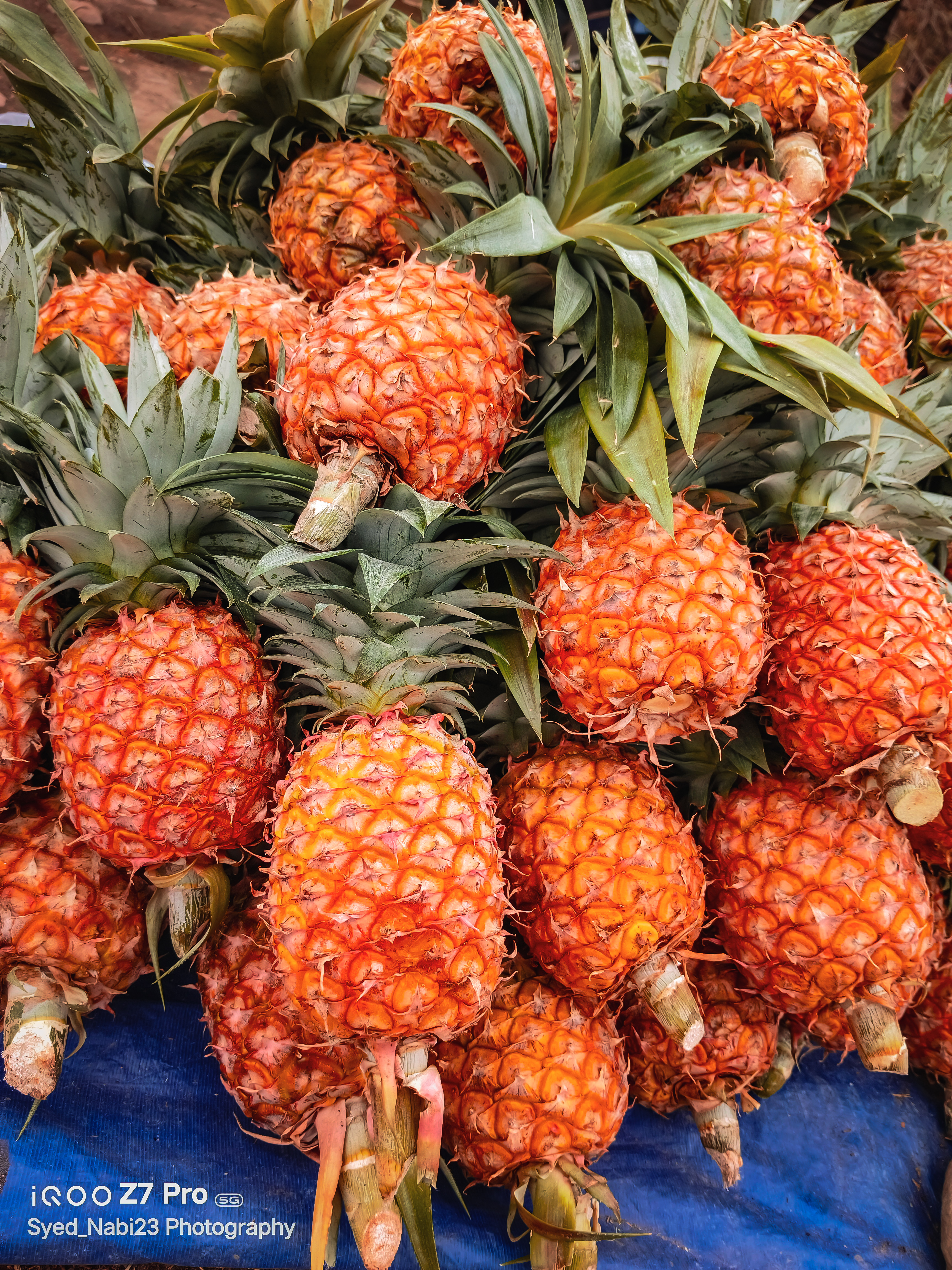 Pineapple 🍍 II Fruit II #ShotoniQOO