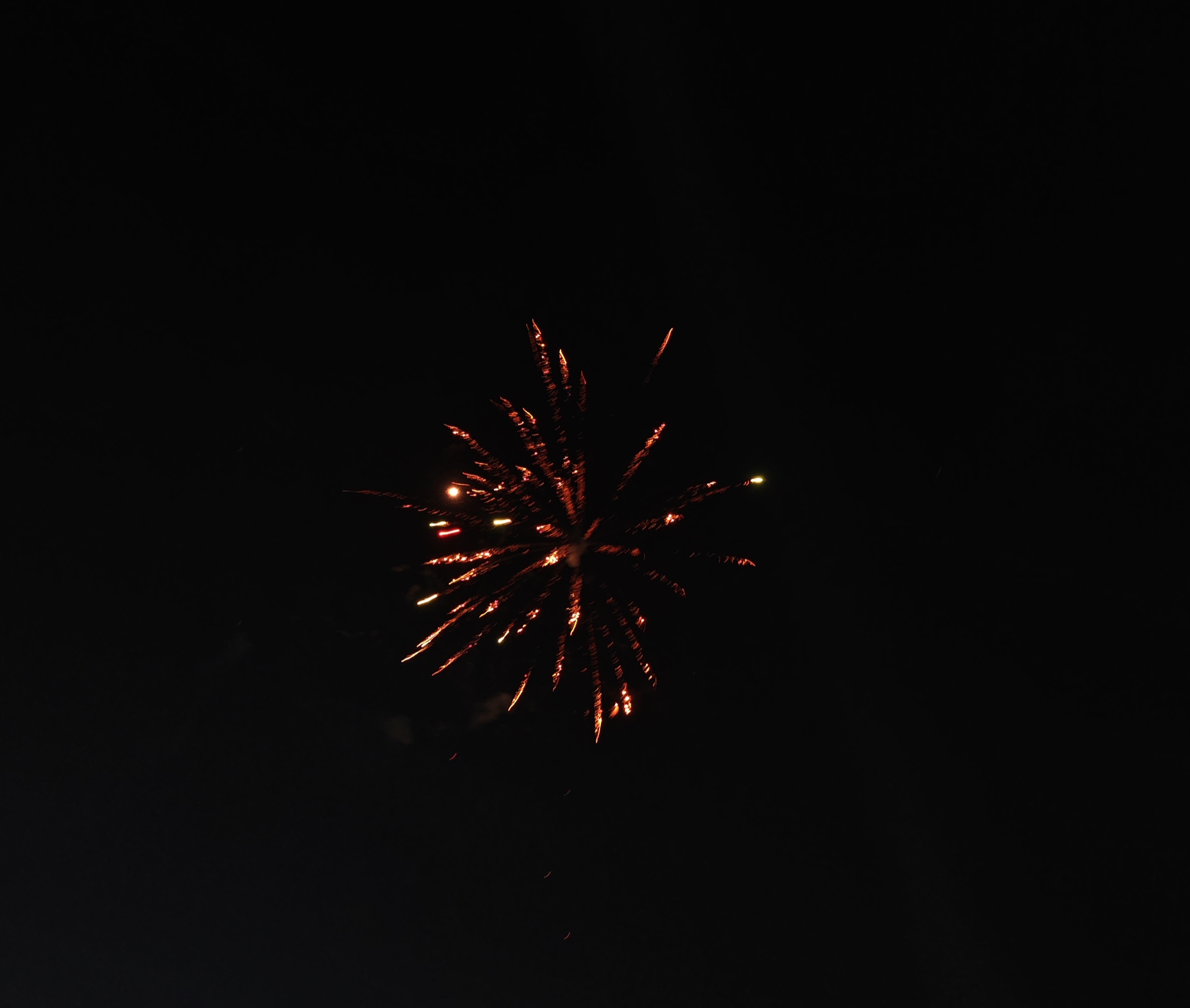 This Fire cracker lit up the night sky.