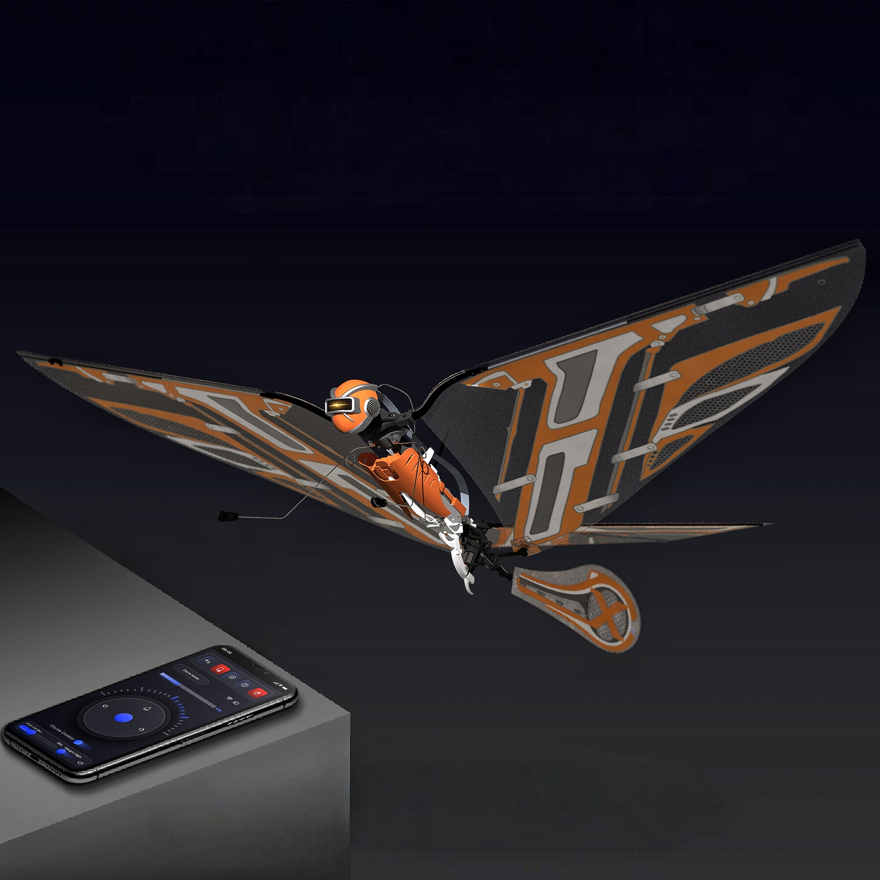 Oracle Drones A Drone or a Bird?
