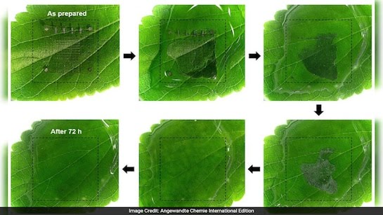 Korean Scientists Develop Memory Device That Vanishes In Water