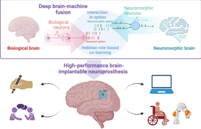 Neuromorphic Computing