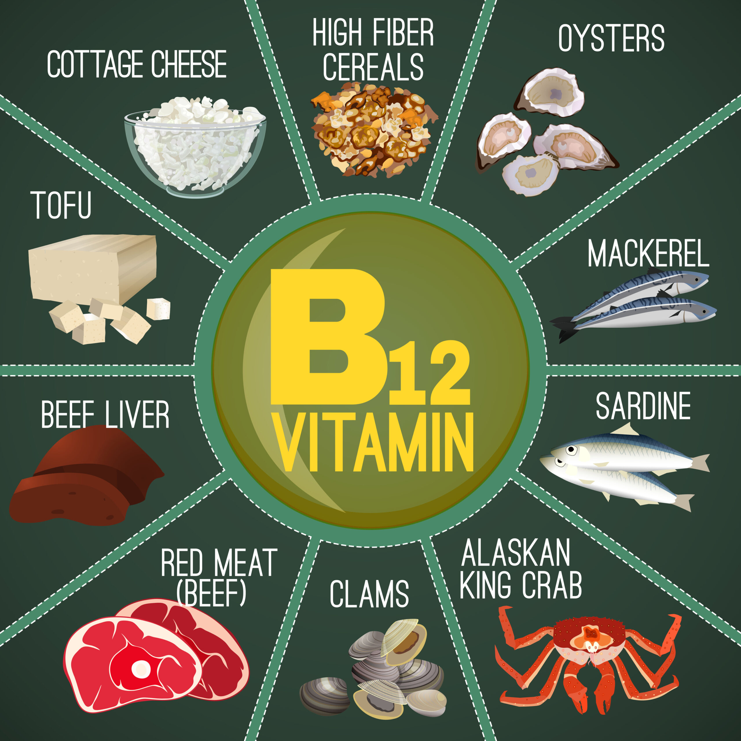 Why Vitamin B12 is So Important for Us 💊