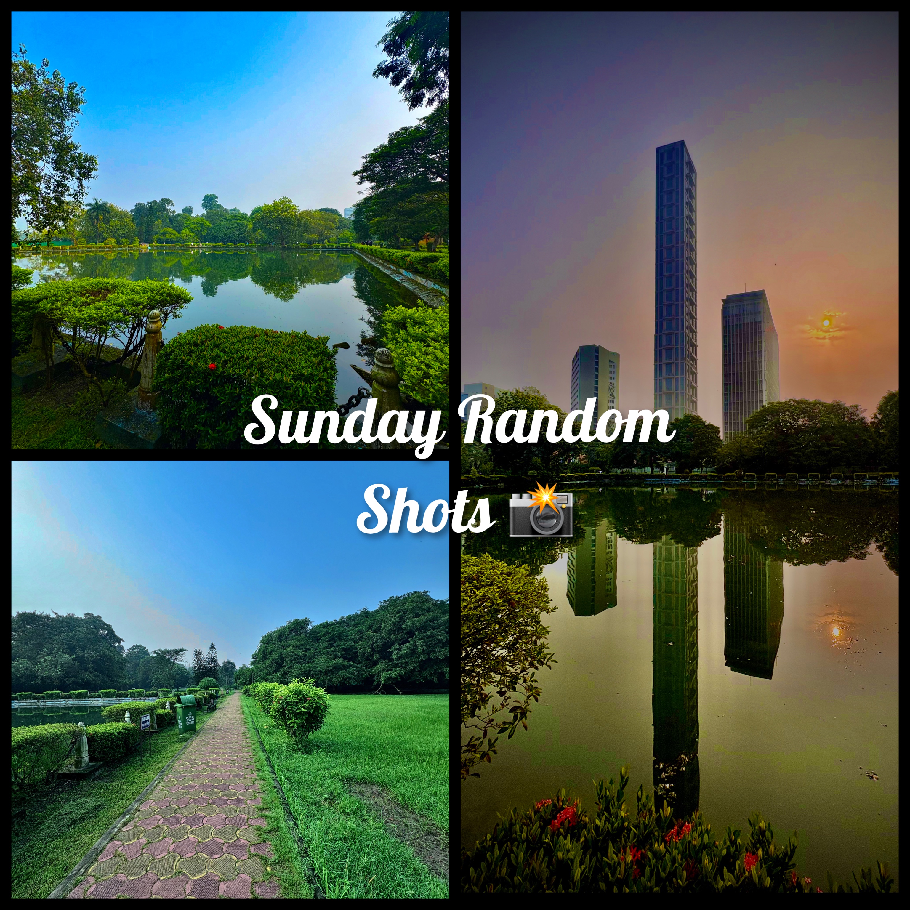 Random Picture Day π€ Some Random Photos of the Sunday βπ·