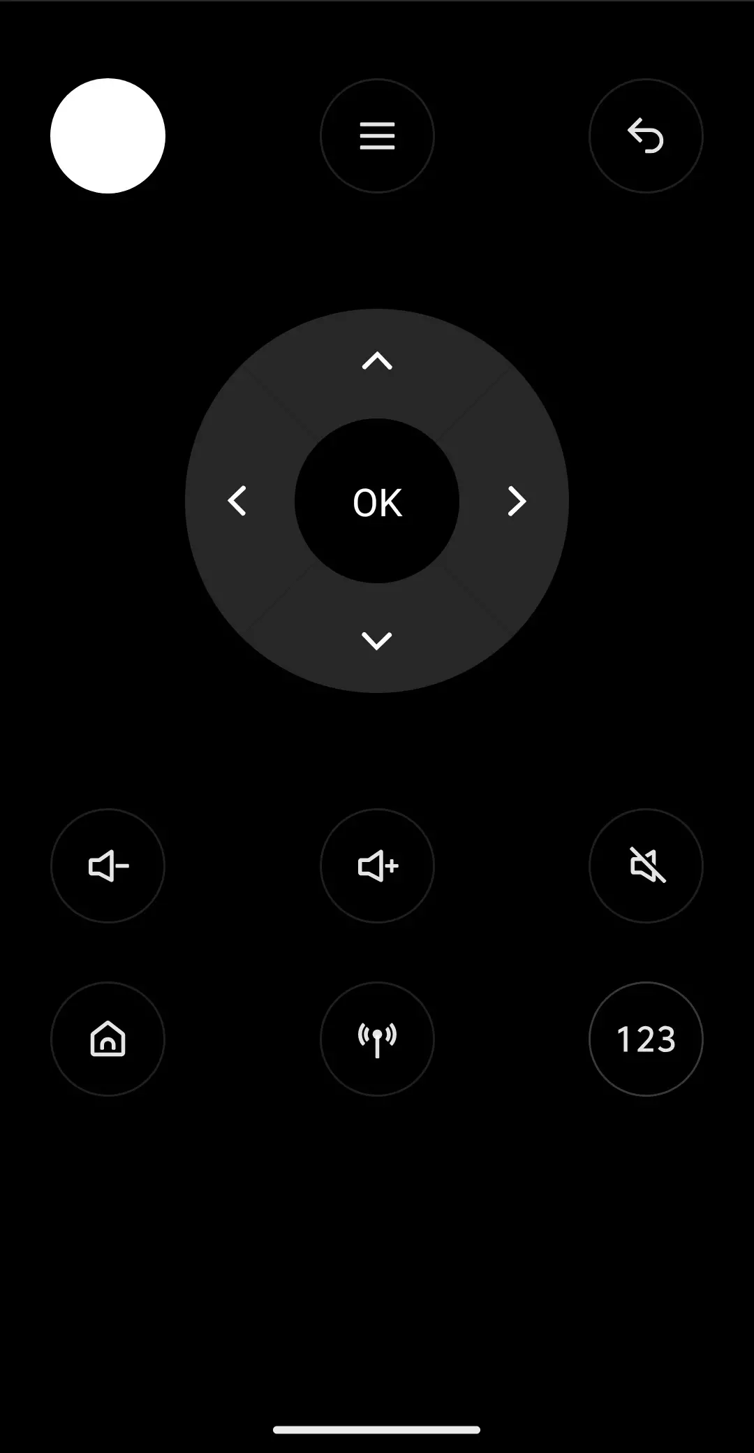 Remote power button bug IQOO 13