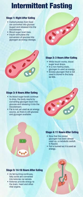 The truth about intermittent fasting and new diet trends