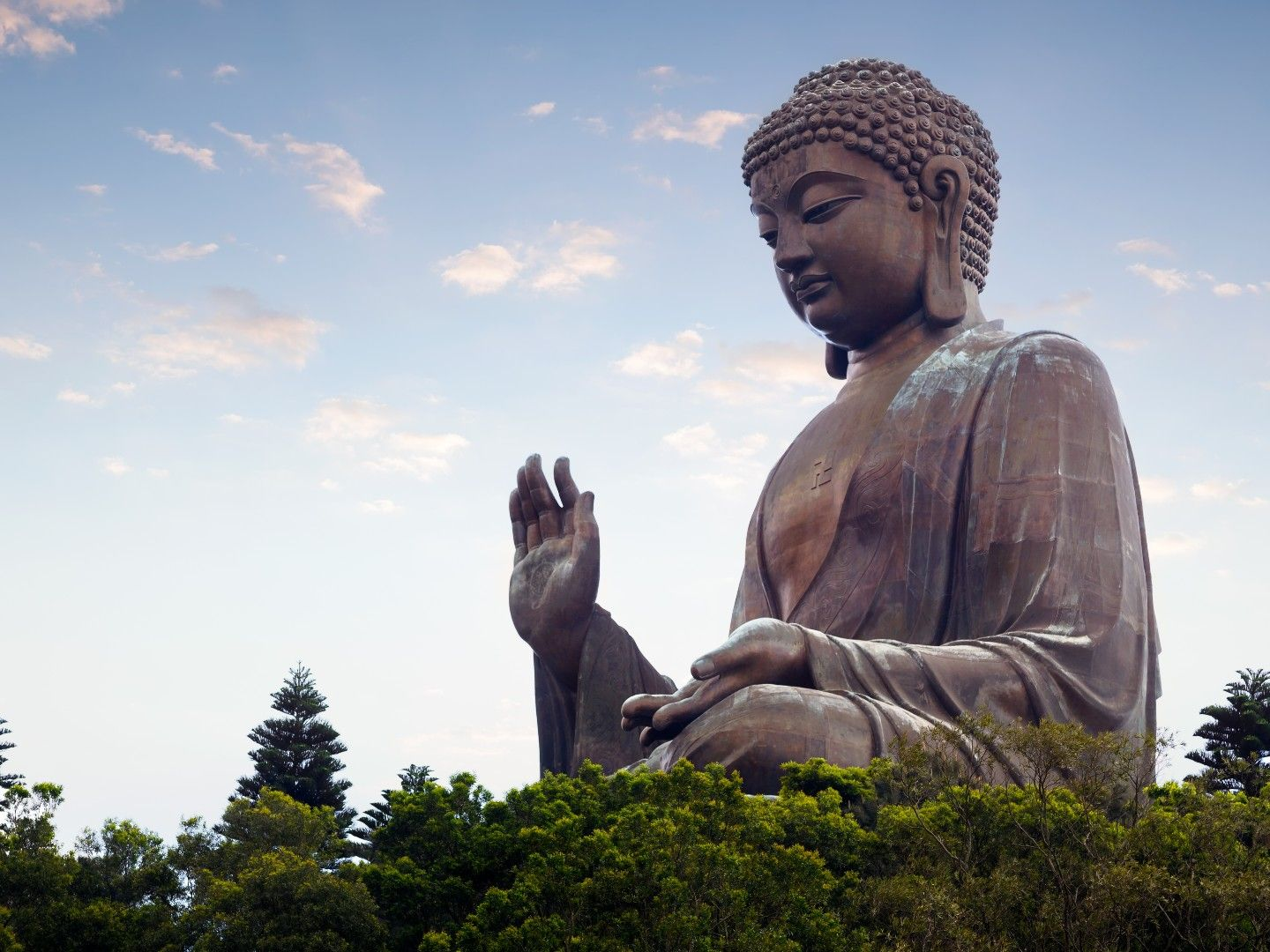 The Enlightened One — The Story of Siddhartha Gautama (The Buddha) 🌅