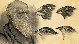 🌿 Charles Darwin: Evolution by Natural Selection 🐒