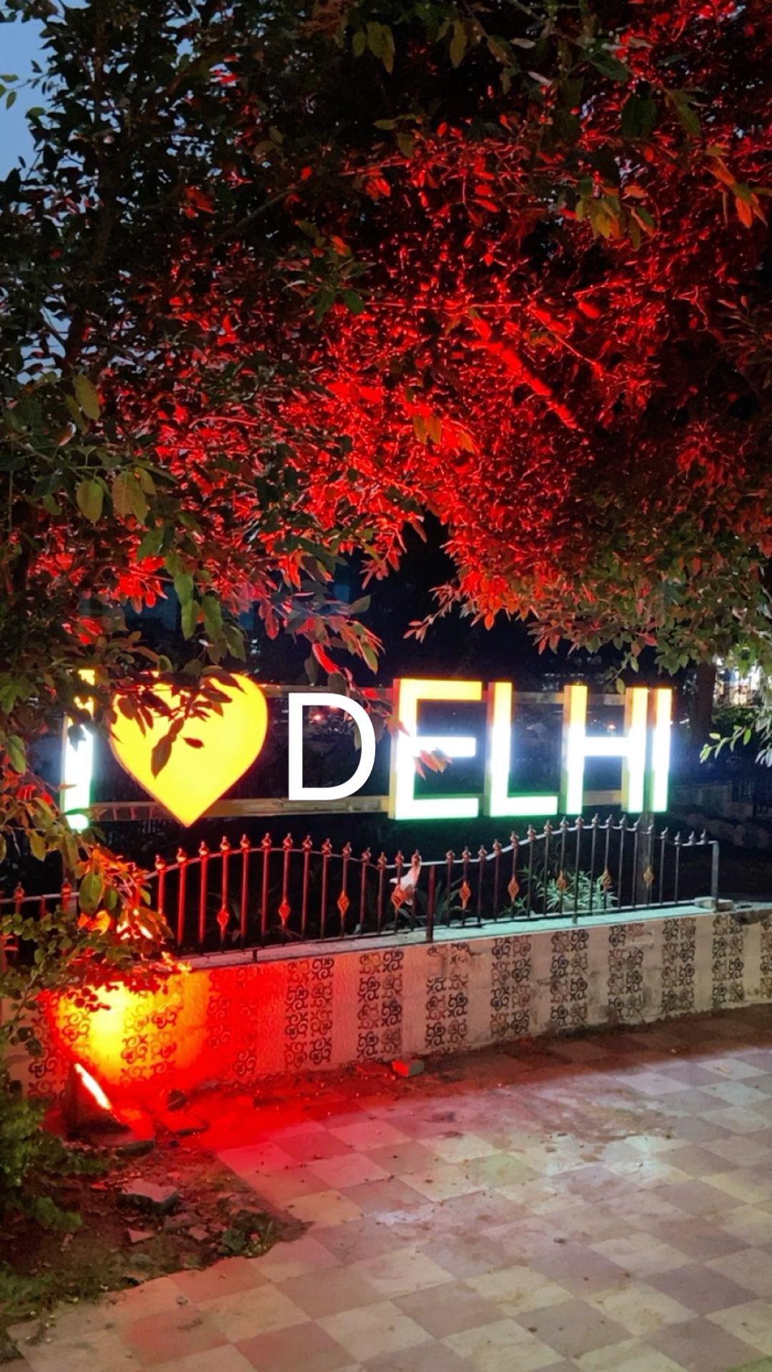 Life lately Edition Part -1 ... Delhi version hits different 📸