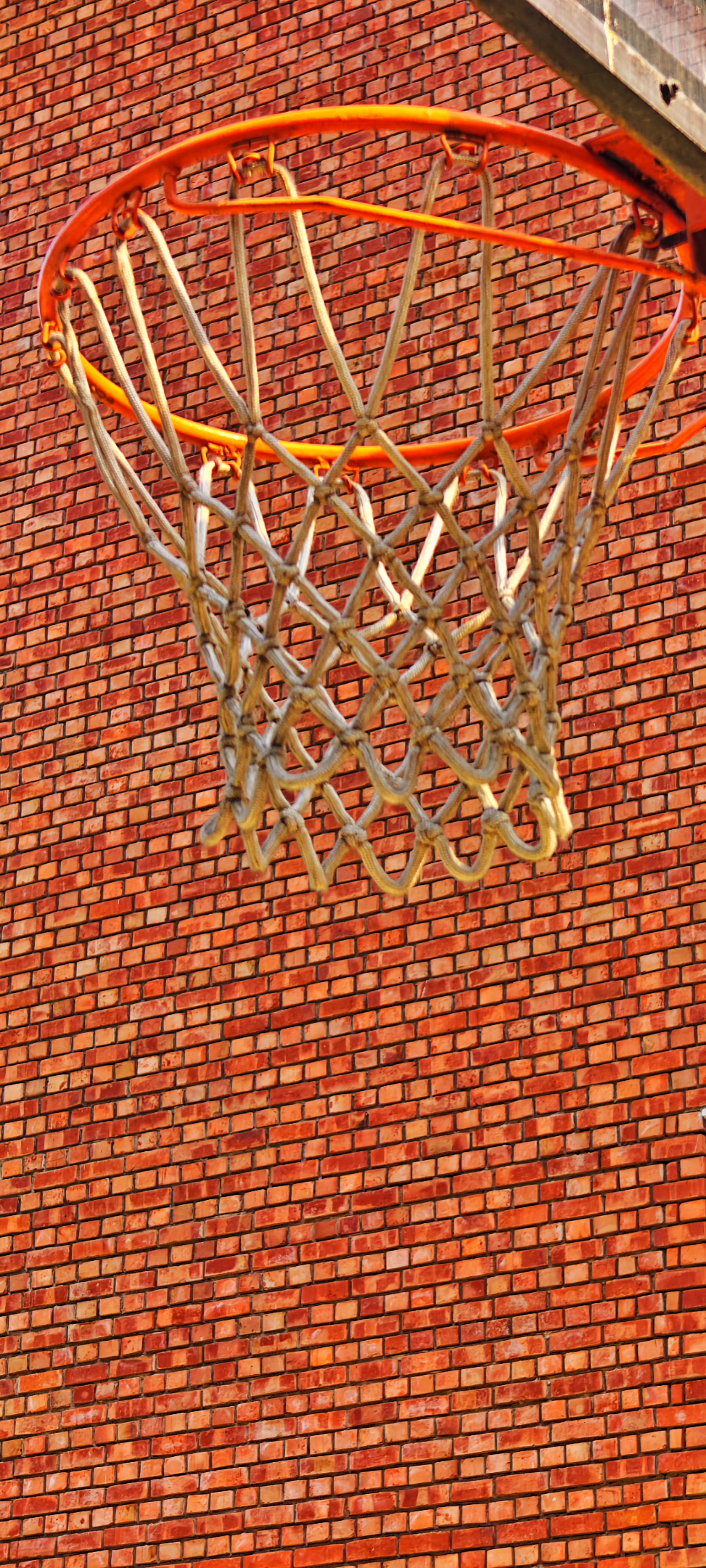 Net Bullet Net shot