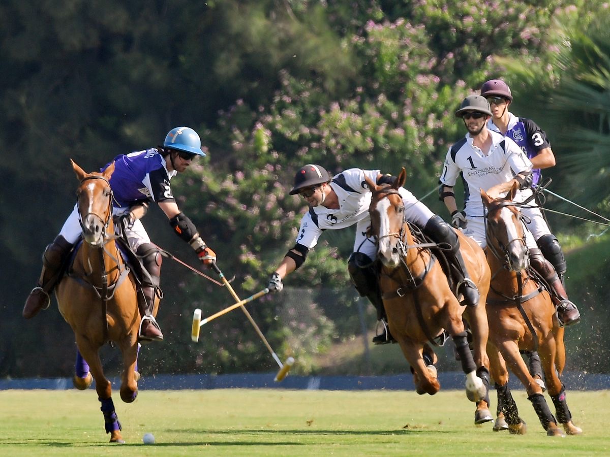 Polo Riding Goals 🐎 THREAD: HORSE POLO — THE SPORT OF KINGS, POWER & PURE PRECISION 👑🔥