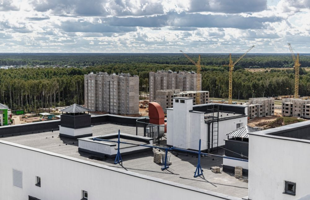 Termite Mounds vs Climate-Controlled Buildings