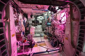 Zero-Gravity Construction
