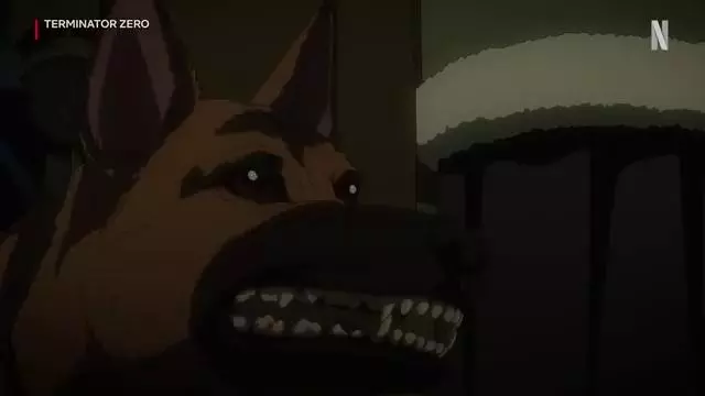 Post video cover image