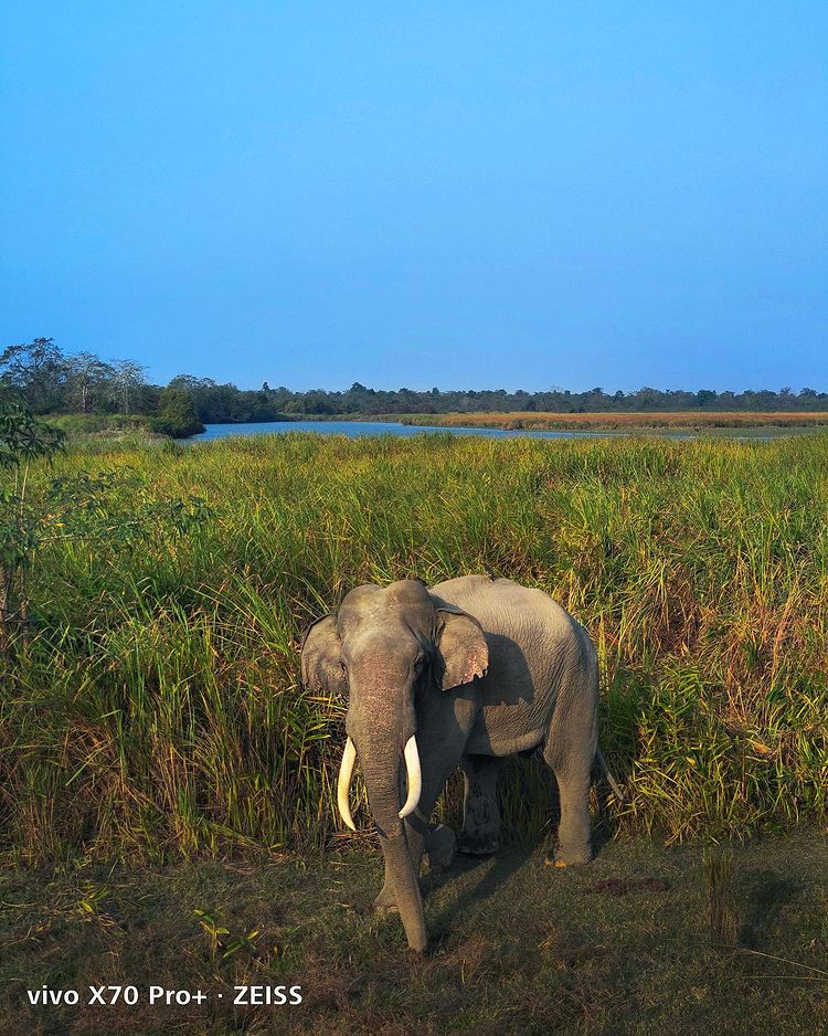 Exploring Kaziranga National Park With Sachin 3219