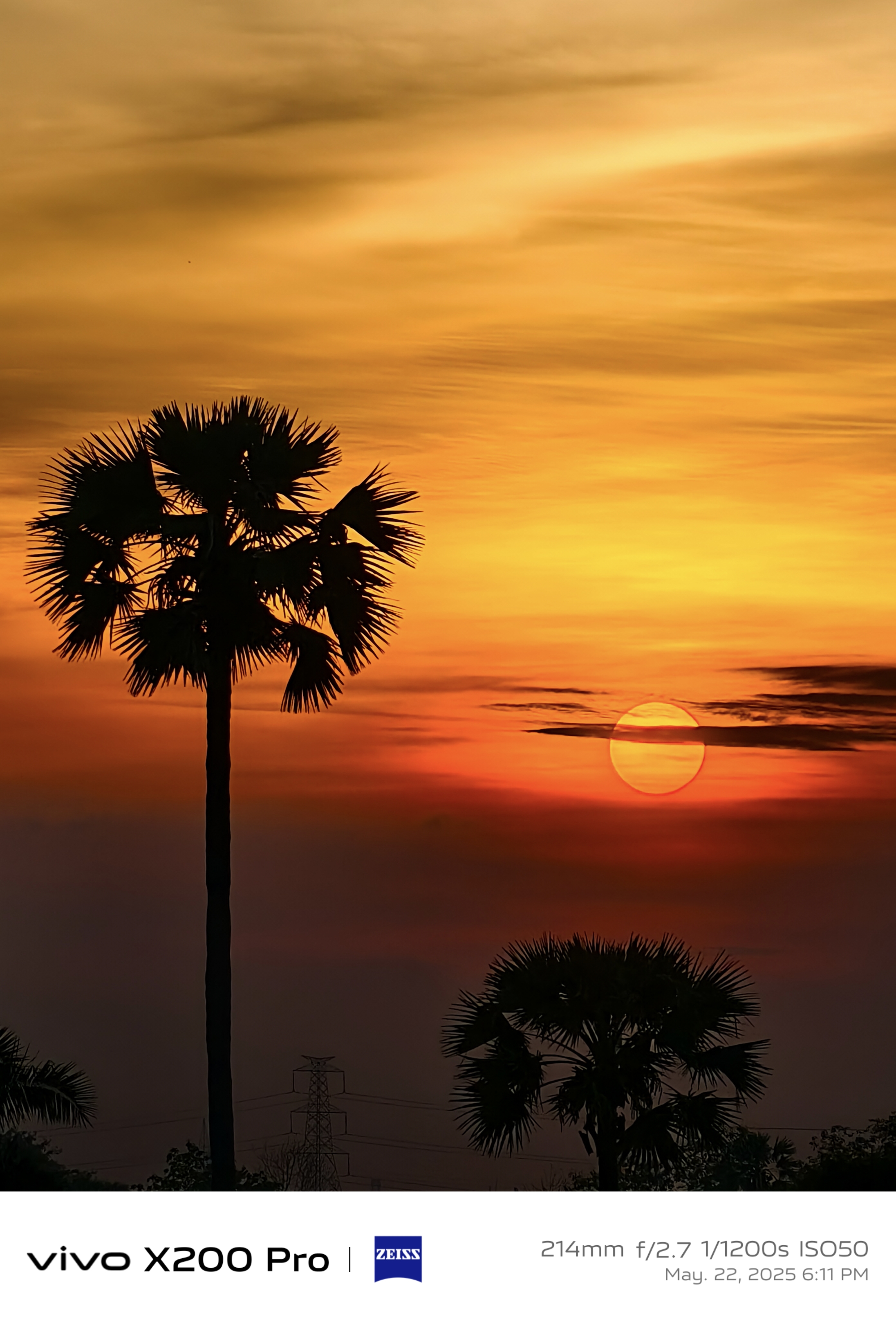 a fiery sunset framed by silhouettes