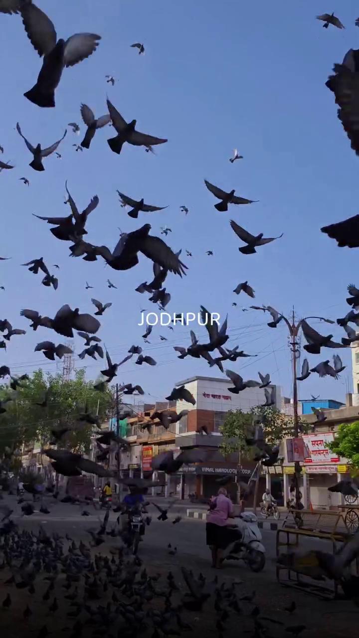 Post video cover image