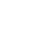 photo sample by vivo V40e without color system